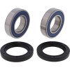All Balls Racing KAYO Fox 70 Rear Wheel Bearing Kit - Powersports Part 25-1273