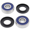 All Balls Racing Honda CH150 Rear Wheel Bearing Kit Part #25-1387