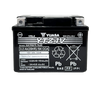 Yuasa YTZ6V Maintenance Free AGM 12-Volt Powersports Battery