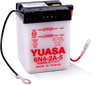 Yuasa 6N4-2A-5 Conventional 6-Volt Powersports Battery for Yamaha and Kawasaki Models