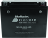 BikeMaster AGM Battery MS12-24HL-BS for Powersports Vehicles