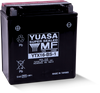 Yuasa YTX16-BS-1 Maintenance Free AGM 12-Volt Powersports Battery for Suzuki LT-F500F QuadRunner