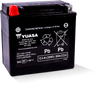 Yuasa YTX14 Maintenance Free AGM 12-Volt Battery for Powersports Vehicles