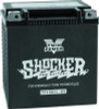 Twin Power YTX-30L Shocker Battery for Harley Davidson – Replaces H-D 66010-97A, 430 CCA