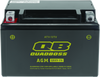 QuadBoss Maintenance-Free AGM Battery QBX9-FA for Honda TRX400 Series