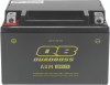 QuadBoss Maintenance-Free AGM Battery QBX9-FA for Honda TRX400 Series