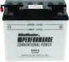 BikeMaster 51913 Conventional Powersports Battery for BMW R1100, R850, and R1100 Series