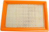 HIFLOFILTRO Replacement Air Filter - Aprilia/Moto Guzzi HFA6101