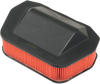 HIFLOFILTRO Replacement OE Air Filter - Yamaha HFA4919