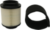 ALL BALLS Replacement Air Filter - Polaris 48-1023