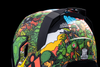ICON Airflite™ GP23 Helmet with Fog-Free Fliteshield and Dark Smoke Dropshield – Green, Large 0101-15060