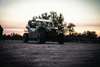 DragonFire Racing 2x2-inch Pod Light with Side Lights - Bright LED Powersports Lighting