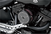 S&S CYCLE Super Stock™ Stealth Air Cleaner Kit - Black (Part No. 170-0058)