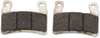 SBS Dual Carbon Brake Pads for Kawasaki 894DC – High-Performance Race Pads with DEST Technology