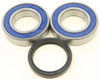 ALL BALLS Wheel Bearing & Seal Kit Part #25-1709 for Kawasaki and Arctic Cat Off-Road Vehicles