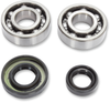 HOT RODS Crank Bearings with Seal - KTM K089 High-Performance Main Bearing Kit