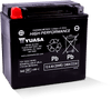 Yuasa YTX14H Maintenance Free AGM 12-Volt Powersports Battery