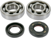 HOT RODS Crankshaft Bearings - Yamaha K045