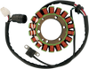 RICK'S MOTORSPORT ELECTRIC Stator - Yamaha 21-917
