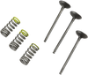 PROX Valve and Spring Kit - Intake - Gas Gas | Yamaha 28.SIS2402-2