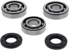 MOOSE OFFROAD Crank Bearings and Seals - Yamaha 24-1117