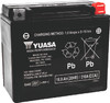 Yuasa YTX20HL-PW Maintenance Free AGM 12-Volt Battery - Batteries & Chargers (view 2)