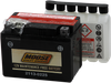 MOOSE OFFROAD AGM Battery - YTX4L-BS MTX4L-BS