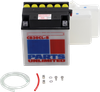 PARTS UNLIMITED Battery - YB30CL-B CB30CL-B-FP