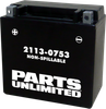 PARTS UNLIMITED AGM Battery - YTX14 CTX14