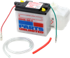 PARTS UNLIMITED Battery - 6N4B-2A-3 6N4B-2A-3-FP
