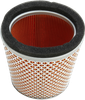 HIFLOFILTRO Replacement Air Filter - Triumph HFA6504