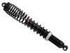 Gas Ski Shock A/C