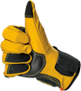 Gold/Black
