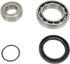 ALL BALLS Chain Case Bearing and Seal Kit 14-1041