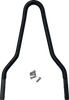 DRAG SPECIALTIES Sissy Bar - Black - 10.12"H x 8.75"W X08-0040GBR