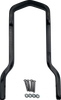 DRAG SPECIALTIES Square Sissy Bar - Short - Black - 10" H x 7.5" W X08-0041GBS