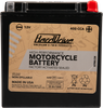 High Perform Battery Yix30l Cca 400