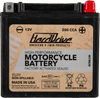 High Perform Battery Ytx14l Cca 200