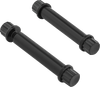 ARLEN NESS Bolt Kit - Footpeg - 12-Point - Titanium - Black 300-804