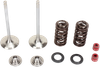 MOOSE OFFROAD Valve and Spring Kit - Yamaha WR450F | YZ450F M80-80960