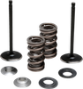MOOSE OFFROAD Valve and Spring Kit - Exhaust - Yamaha M80-83160