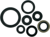MOOSE OFFROAD Motor Oil Seals - Kawasaki/Suzuki 822193mse