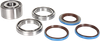 MOOSE OFFROAD Differential Bearing/Seal Kit - Rear 25-2098