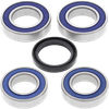 ALL BALLS Wheel Bearing Kit - Rear - Ducati 25-1668