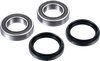 FACTORY LINKS Axle Bearing Kit - Rear - Yamaha ARA-Y-010
