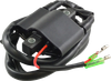 RM STATOR Ignition Coil - External - Arctic Cat RM06061