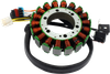 RM STATOR Stator - Polaris RMS010-105020
