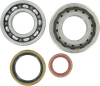 HOT RODS Crankshaft Bearings - Husqvarna/KTM K066