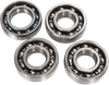 HOT RODS Counter Balancer Bearing Kit - Yamaha BBK0008