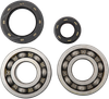 HOT RODS Crankshaft Bearings - Honda K003